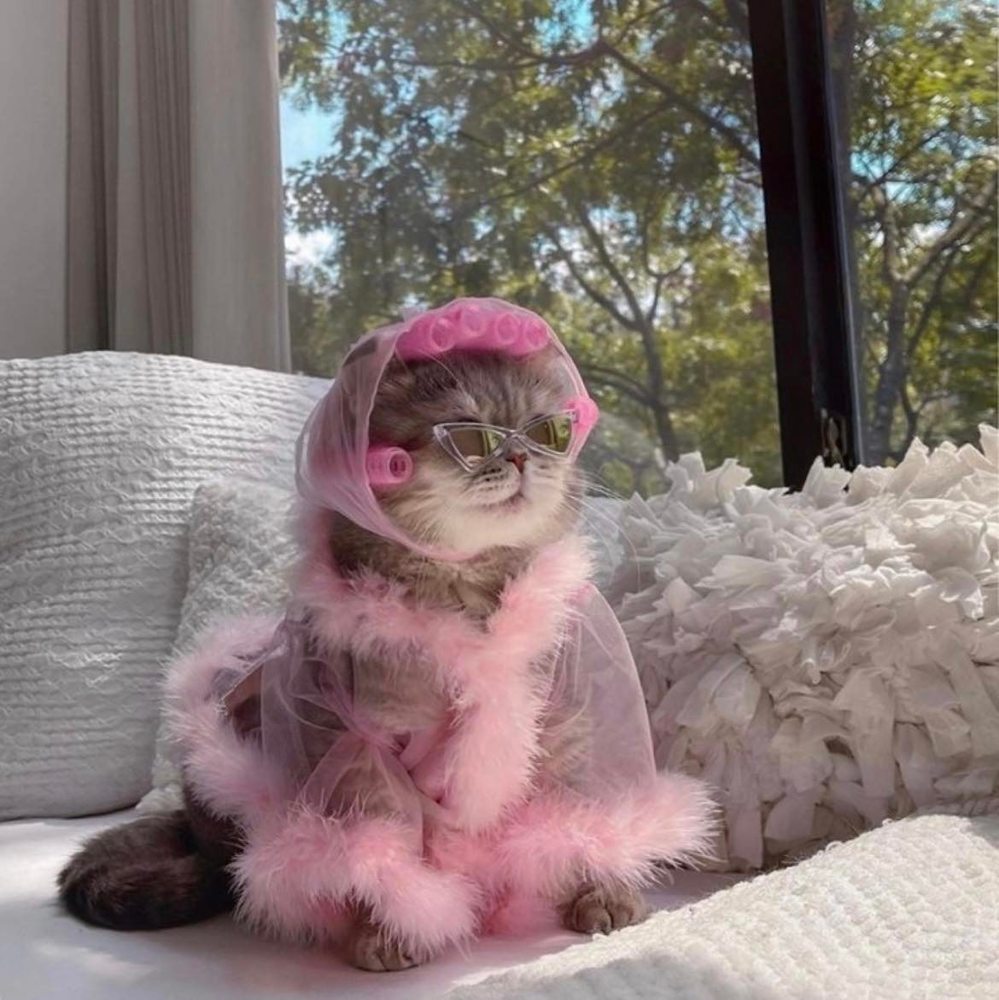 Meet your Posher, Jenna